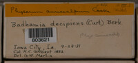 Image Associated With the Occurence